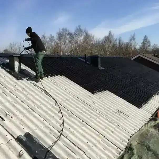 Professionell takmålning av tak med ny färg från Scandi Clean
